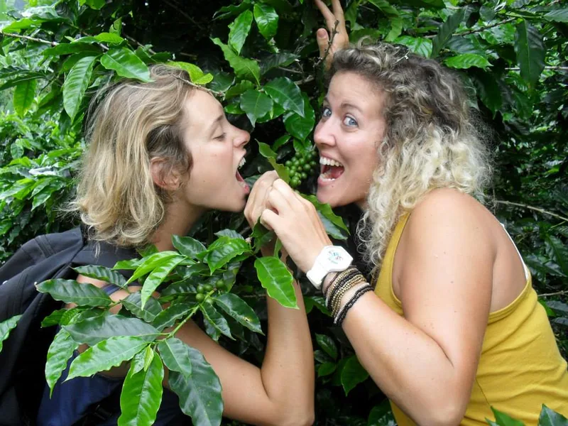 Valentine dans une plantation de café au Costa Rica