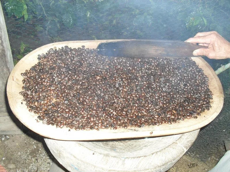 Grains de café étendus au séchage au Costa Rica