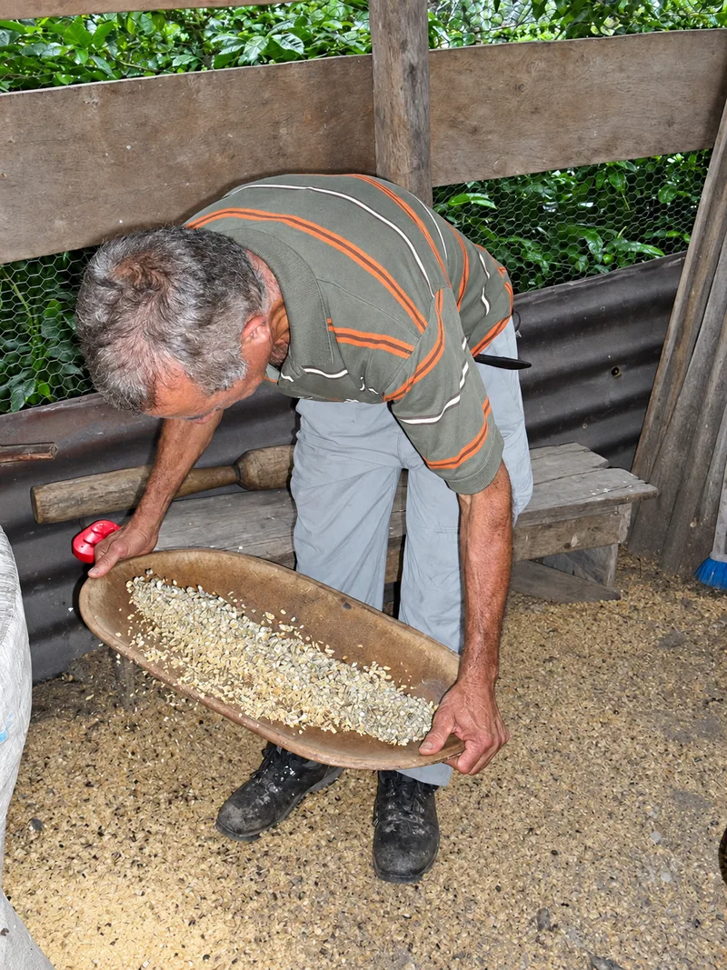 Profil de torréfaction préparé pour chaque café